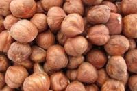 Raw Hazelnut Without Shell