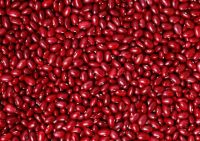 Red Kidney Beans