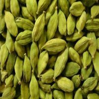 Green Cardamom with Best Quality