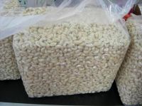 High Quality Cashew Nuts & Kernels WW240, WW320, WW450, SW240, SW320, LP, WS, DW Grade