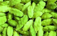 cardamom