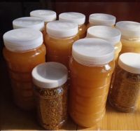 Natrual honey from wild bees