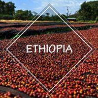 Top Quality Arabica Coffee Beans