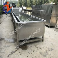 Industrial Air bubble lettuce/kale washing machine berries/blueberry cleaning machine