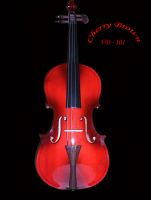 Musical instruments & color Violin