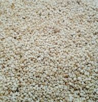 Sudan Natural White sesame seeds
