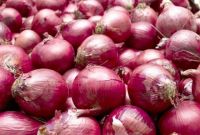 Premium Quality Fresh Onions