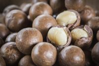 Macadamia Nuts