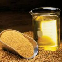refined soybean oil