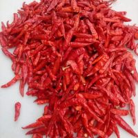 DRIED HOT CHILLI