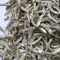 Lowest Price Dried Anchovy With High Quality