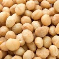 Cheap price Raw organic Macadamia nuts without shell