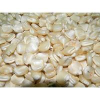 White Maize Corn for For Sale