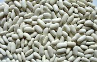 Quality white kidney beans  in-stock  for sale