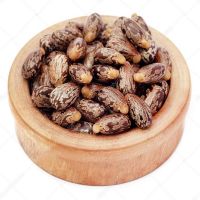 Castor oil seeds