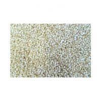 Natural White Sesame Seeds