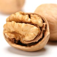 Walnuts In Shell/Bulk Walnuts Kernels