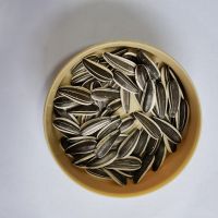 Wholesale high quality organic large sunflower seeds