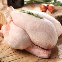 Best Sale A Grade Quality Halal Frozen Chicken Meat