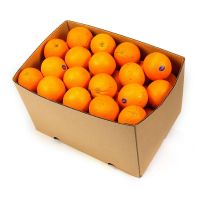 Fresh Quality Navel Orange Honey Oranges