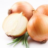 wholesale best seller yellow onion