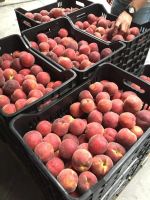 100% Natural Fresh Peach