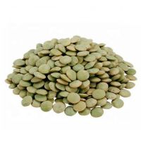 Supply lentils high quality green lentils