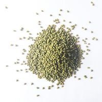 wholesale dried mung bean green beans PP bags