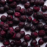 Freeze Dried Blueberry Powder