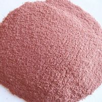 Freeze Dried Blueberry Powder