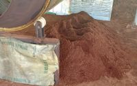 Cocopeat Powder and Block