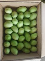 Fresh Philippine Carabao Mangoes