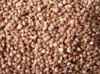 Organic Buckwheat, Oats, Barley, Corn, Millet, Groats, Grain, Flour