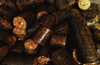 Bio-coal Biomass Briquettes