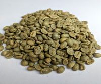 Arabica Green Coffee