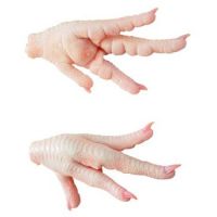 Cheap Frozen Chicken Feet/Paws Hot Sale