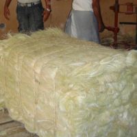 Kenya UG Grade Sisal Fiber for Sell