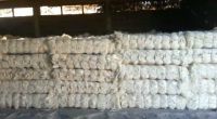 U G SISAL FIBER FOR SELL BEST QUALITY