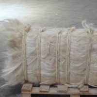 UG Grade White Sisal Fiber for Building High Quality