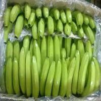 Best  Quality Fesh Cavendish Banana