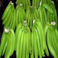 Wholesale price, fesh Cavendish Banana from Afica