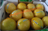 Fresh honey Pomelo for export