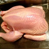 Halal Chicken Feet / Frozen Chicken Paws / Fresh chicken wings and foot