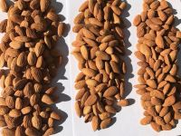 Raw Almond Nuts