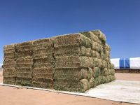 Alfalfa Hay Pellets Wholesale Price - Buy Alfalfa Hey Pellet In Dubai, Cheap Alfalfa Hay