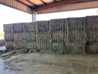 Phosphate Feed Grade Animal Max alfalfa hay lucerne 1%max Admixture feed 12x12x12 cube 450kg bales 25tons 15days rhode hay