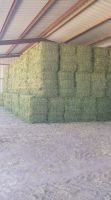 Premium Grade Alfafa Hay for Animal Feeding Stuff Alfalfa / Alfalfa Hay farm price