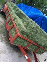 High Grade Alfalfa Hay Bales for animal feeds