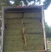 High Quality Animal Feed Alfalfa Hay from South Africa