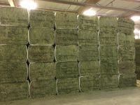 High quality Alfalfa bales